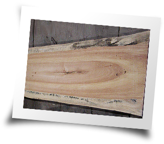 Photo of a slab of Knotty Pine