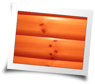 LC001 -  1 3/8" x 7 3/8" Log Cabin Siding  photo