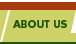 About Bailey Wood Products
