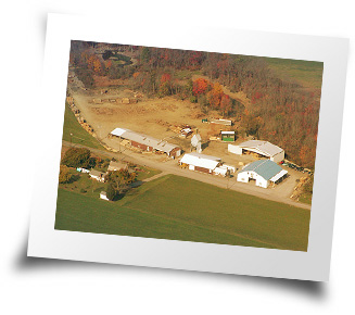 Bailey Wood Products Aerial Photo