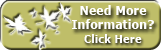 Need more information, Click Here