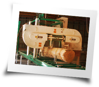 Sawmill